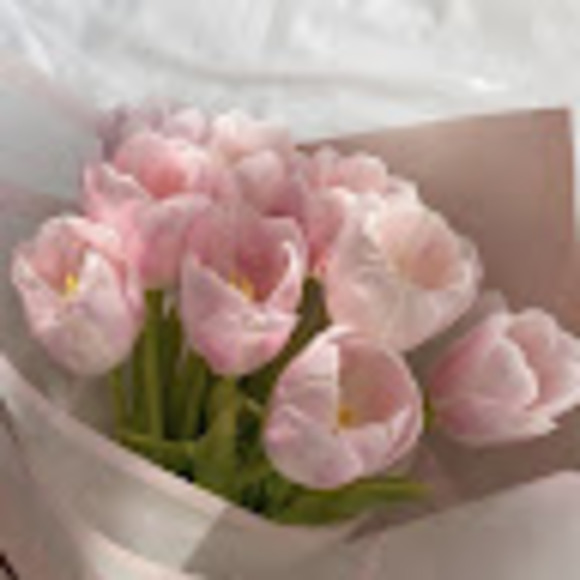 Meet your Posher, Reese - Picture 1 of 1